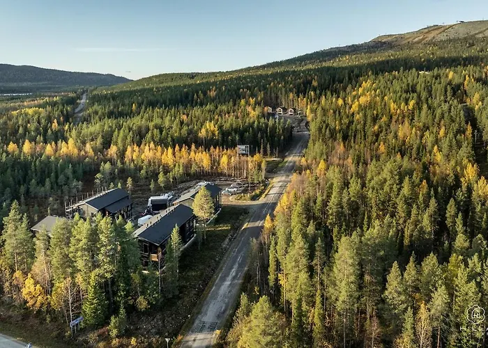 Levin Lyhty Chanel C3 By Hilla Levi