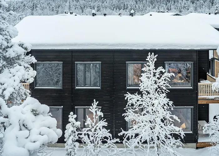 Levin Lyhty Chanel C3 By Hilla