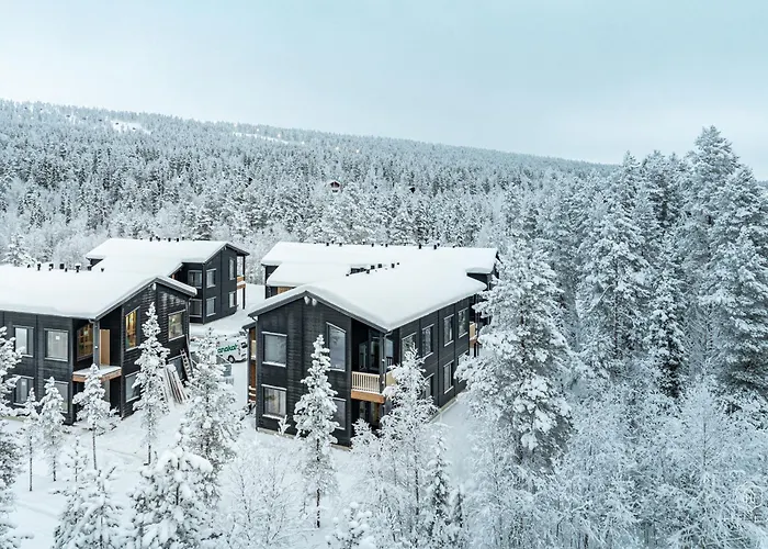 Levin Lyhty Chanel C3 By Hilla